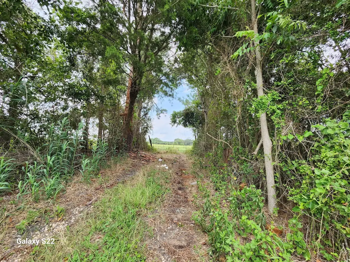 40224 Fm 1488 Road, Hempstead, TX 77445 - #1