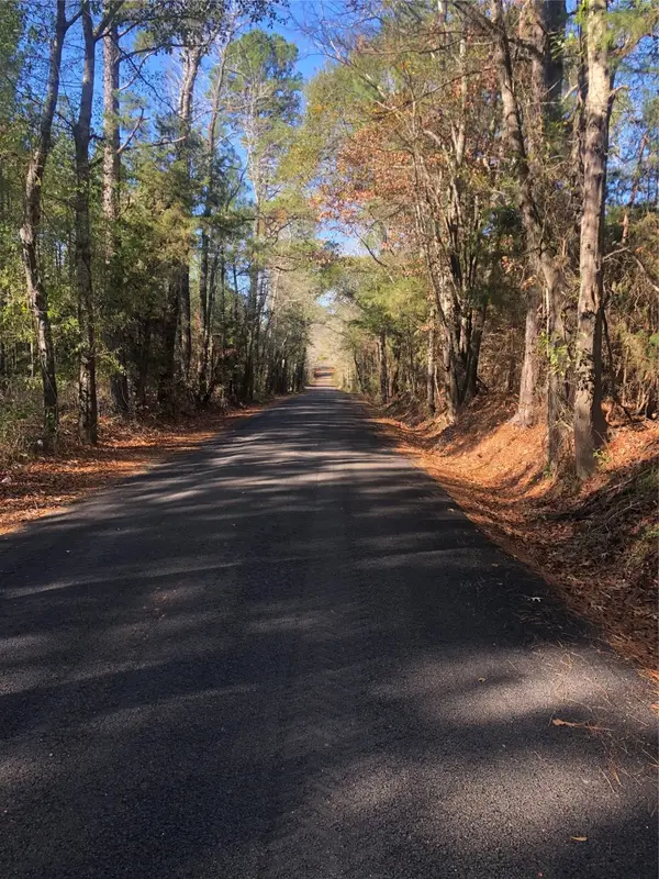 20894 Franklin Drive, Troup, TX 75789