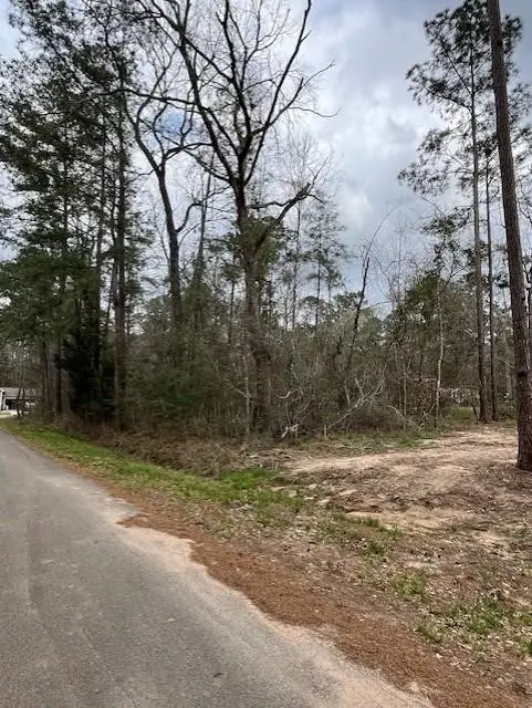 10936 Royal Magnolia, Conroe, TX 77303 - Image #2