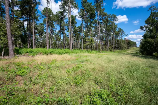 tbd Farm To Market 1745 N, Colmesneil, TX 75938