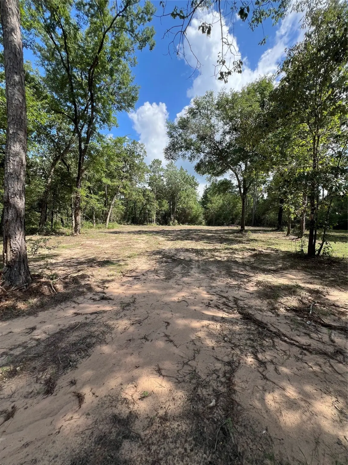 TBD Lot 2 Deerwood Drive, Plantersville, TX 77363 - Image #1