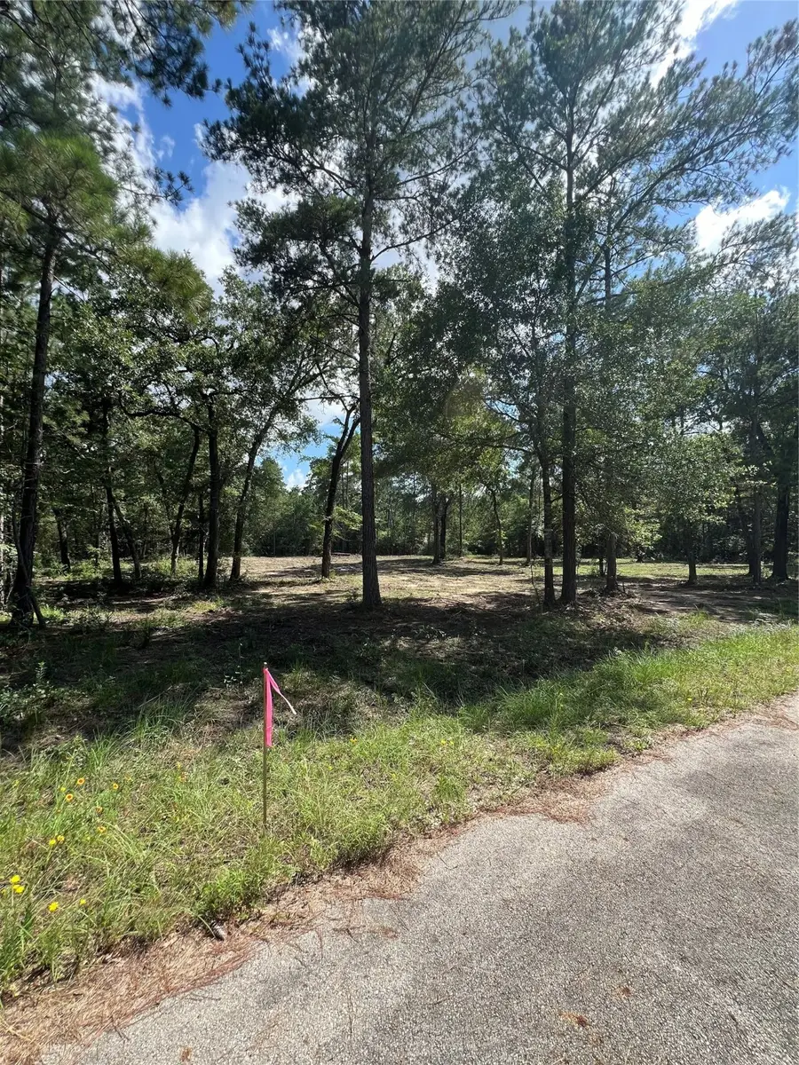 TBD Lot 2 Deerwood Drive, Plantersville, TX 77363 - Image #2