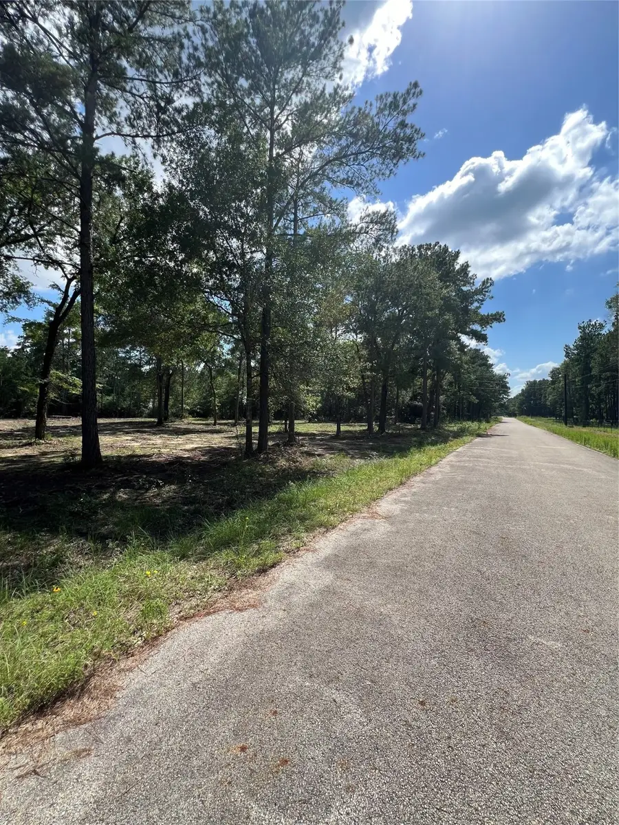 TBD Lot 2 Deerwood Drive, Plantersville, TX 77363 - Image #3