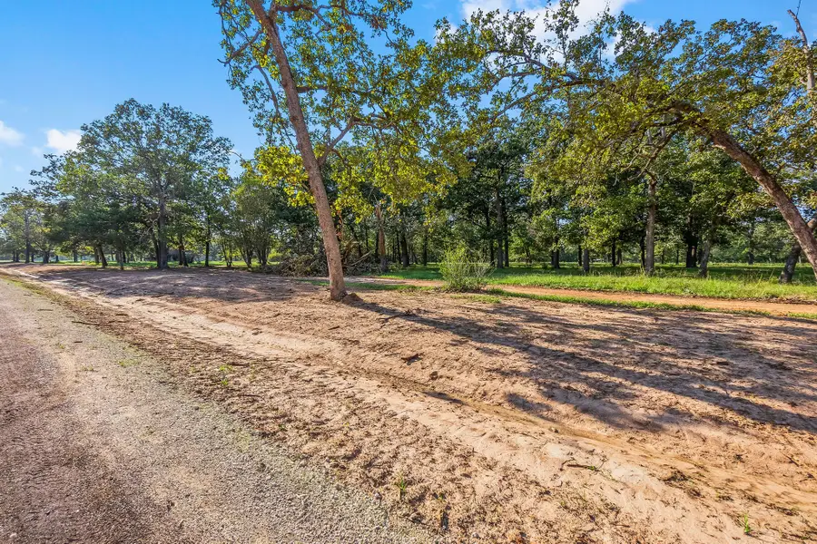 6141 Alans Memorial Lane, New Waverly, TX 77358 - Image #2