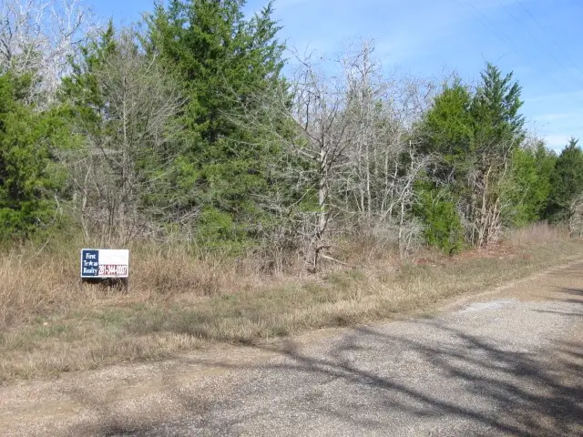 100 Rainbow Circle, Somerville, TX 77879 - Image #3