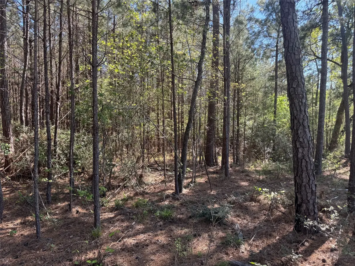 Tract 107 Hwy 156, Coldspring, TX 77331 - Image #1