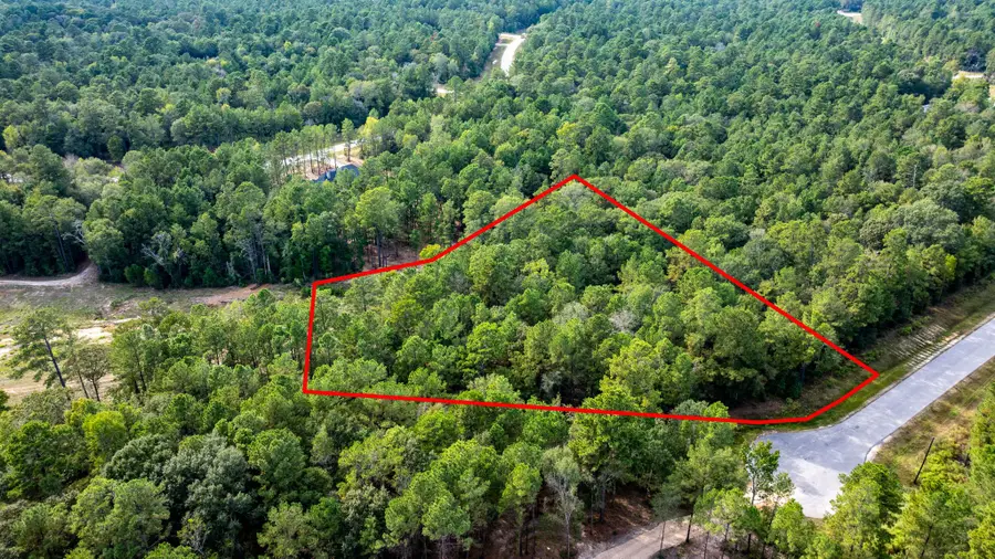 13-21-65 Bighorn Road, Huntsville, TX 77340 - Image #3