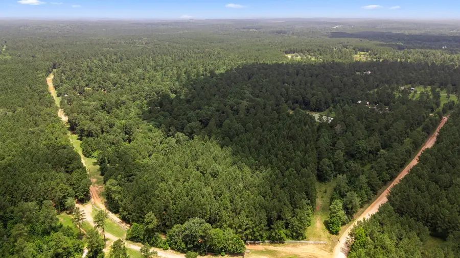 00 Felix Currie Road, Oakhurst, TX 77359 - Image #2