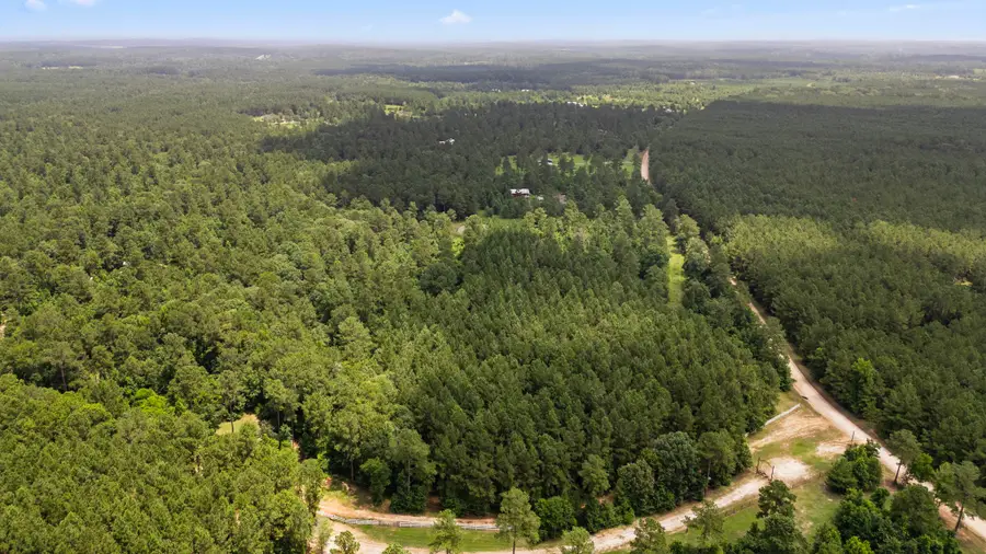 00 Felix Currie Road, Oakhurst, TX 77359 - Image #3