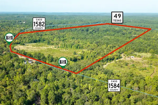 Lot 1 County Rd 1584, Avinger, TX 75630