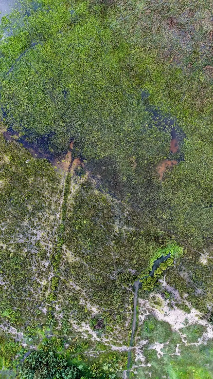 1351 Melody Lane, Crystal Beach, TX 77650 - Image #3