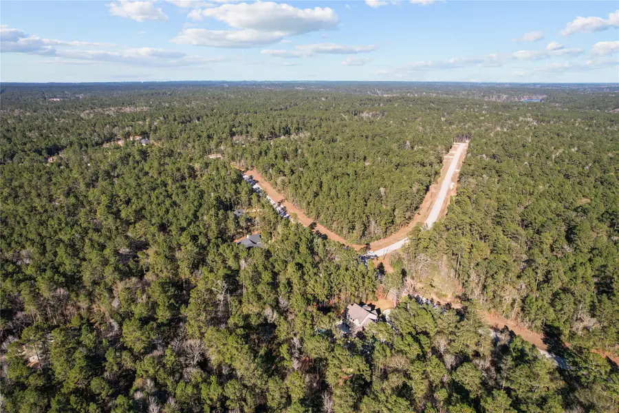 160 Brahman Lane, New Waverly, TX 77358 - Image #3