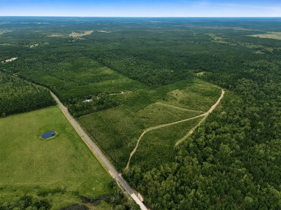 TBD Fm 1012, Newton, TX 75966 - #2