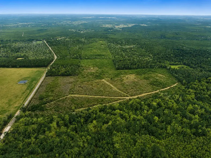 TBD Fm 1012, Newton, TX 75966 - #3