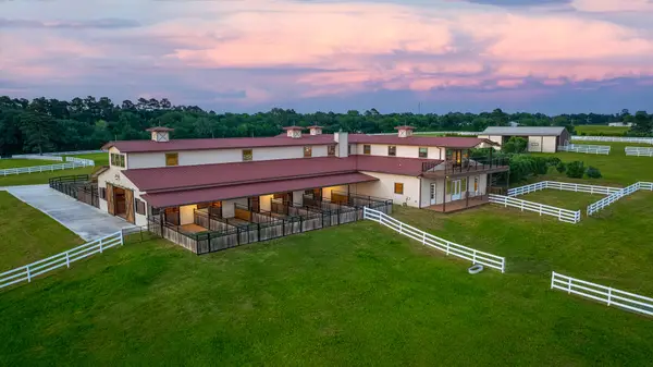 23981 Old Dobbin Plantersville Road, Montgomery, TX 77316