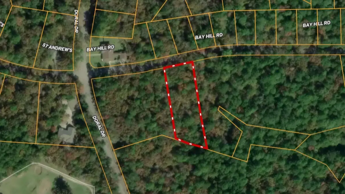 Lot 4 Bay Hill Road, Huntsville, TX 77320 - #1
