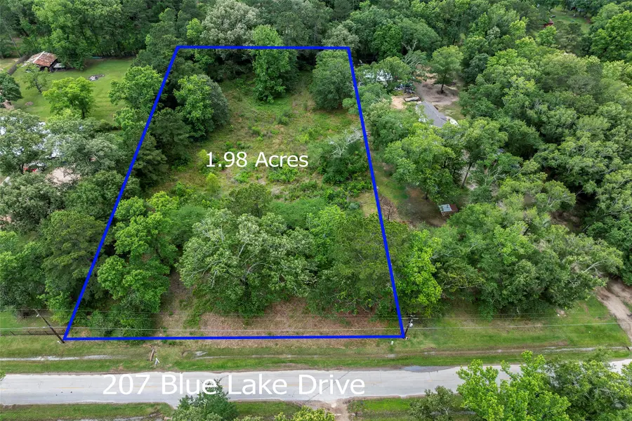 207 Blue Lake Drive, Huffman, TX 77336 - #3