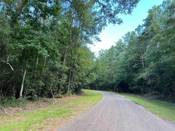 TBD White Poplar Drive, Village Mills, TX 77663