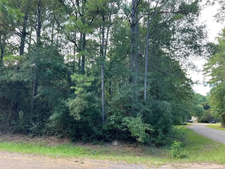 TBD White Poplar Drive, Village Mills, TX 77663 - Image #2