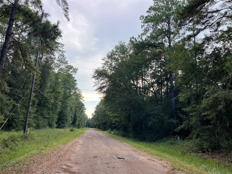 TBD White Poplar Drive, Village Mills, TX 77663 - Image #3