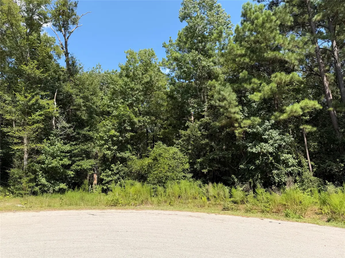 97-22-19 Granite Road, Huntsville, TX 77340 - #1