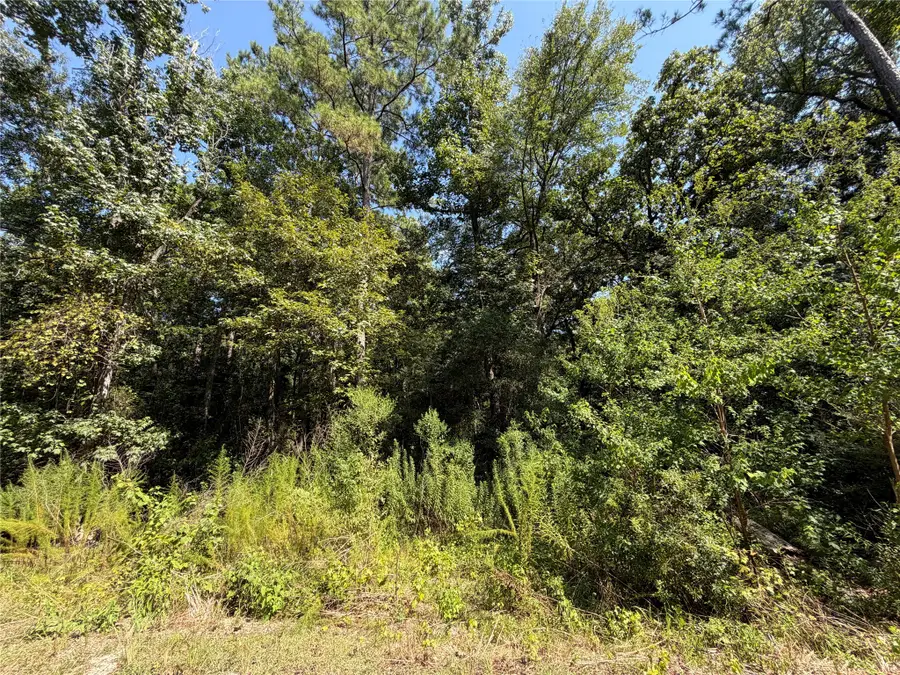 97-22-19 Granite Road, Huntsville, TX 77340 - #3