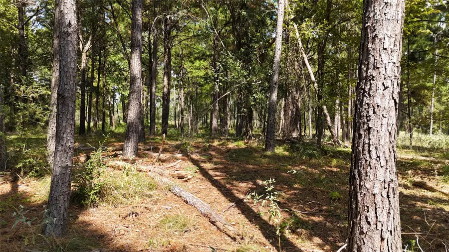 TBD Cherokee Trail, Lovelady, TX 77851 - Image #2
