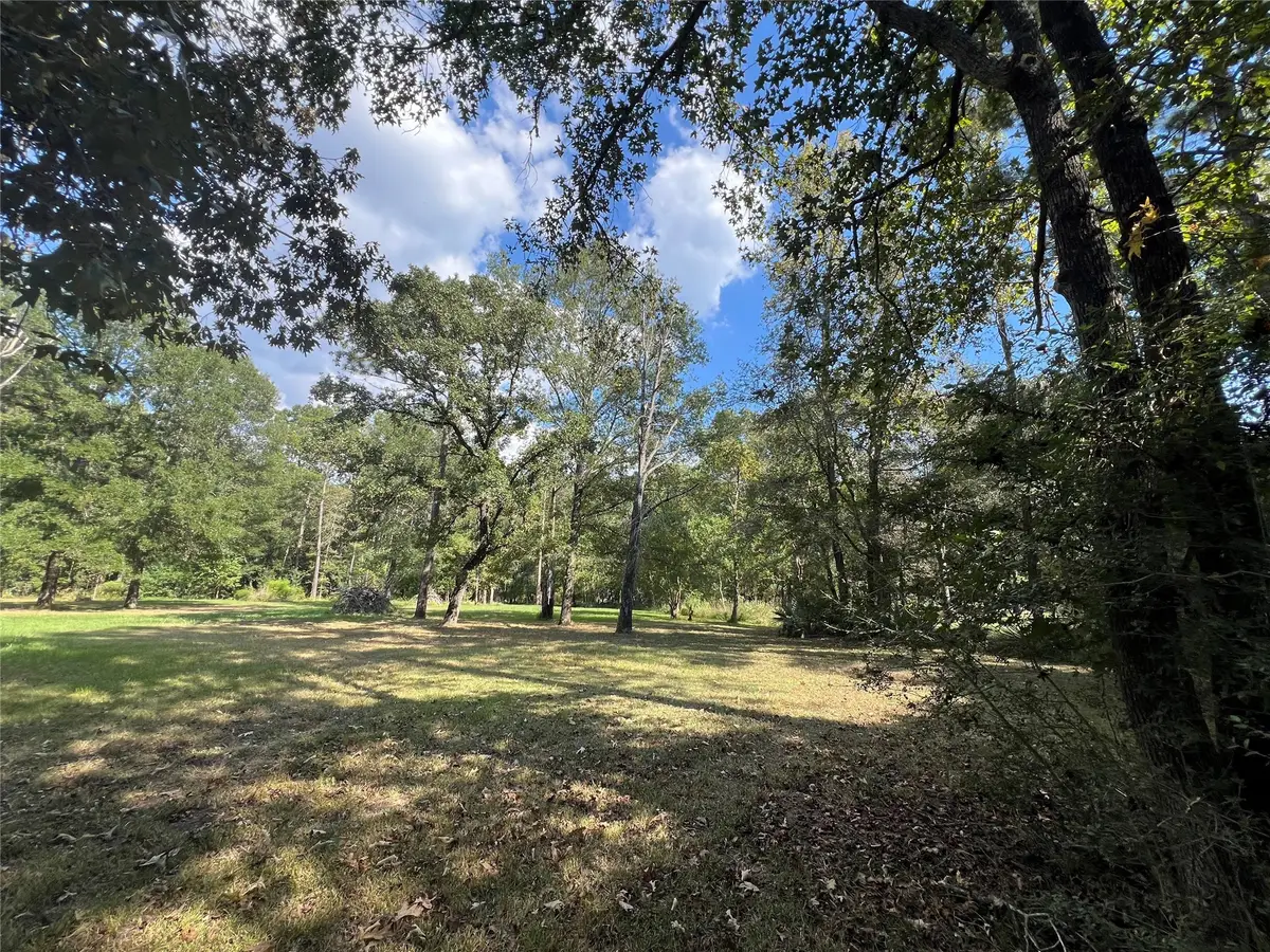 13203 Park Avenue, Conroe, TX 77384 - Image #1