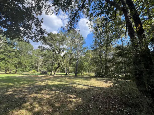 13203 Park Avenue, Conroe, TX 77384