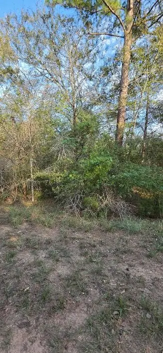 00 Eagle Drive, Waller, TX 77445 - #2
