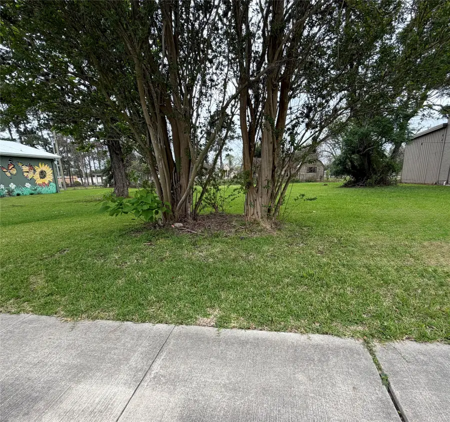 221 E Brazos Avenue, West Columbia, TX 77486 - #3