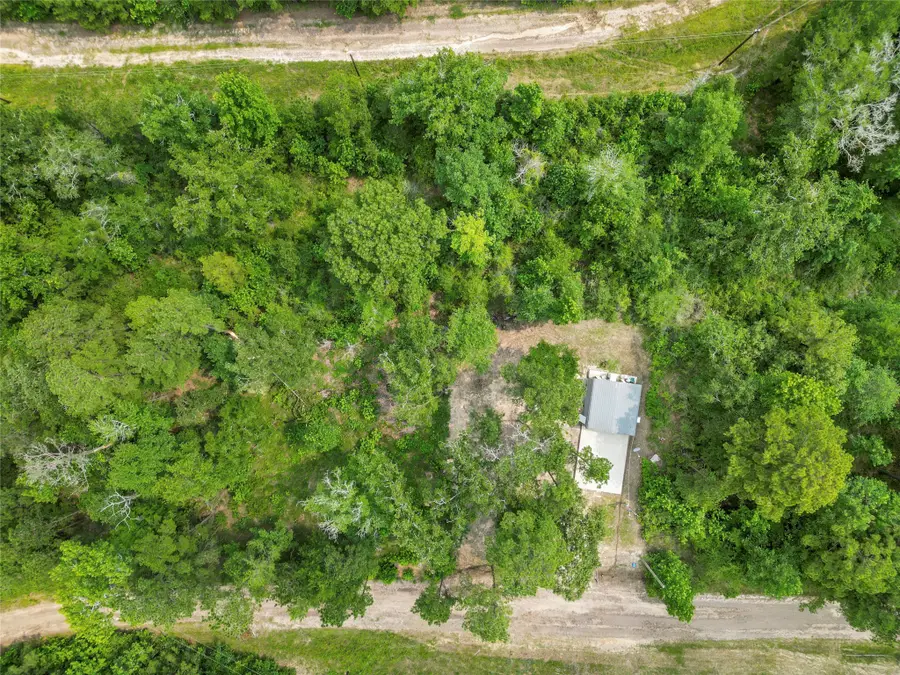 163 Shadywood Drive, Trinity, TX 75862 - #2