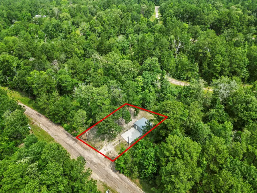 163 Shadywood Drive, Trinity, TX 75862 - #3