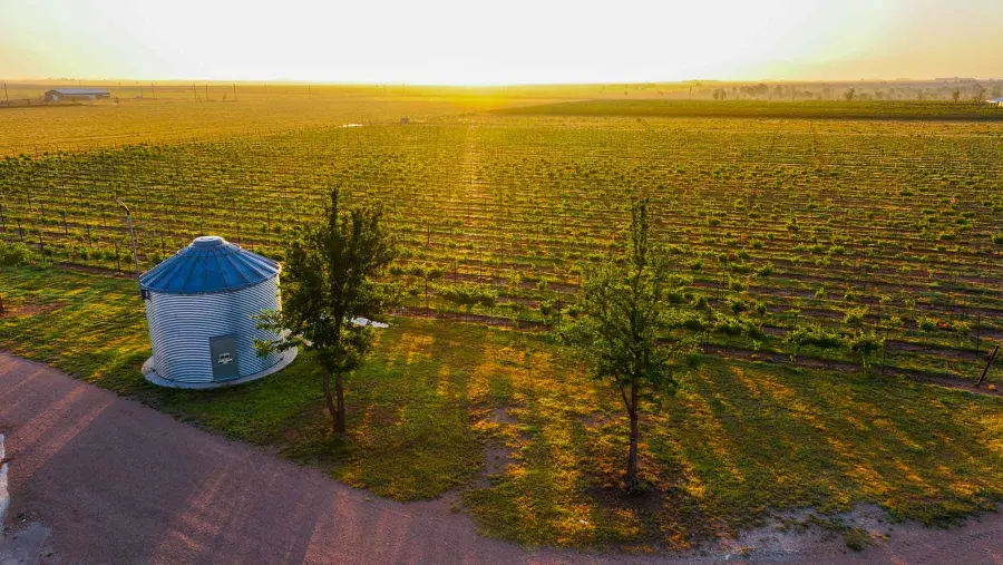 374 Fm 1317, Tahoka, TX 79373 - #3