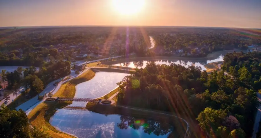 503 Water Ash Court, Montgomery, TX 77316 - #3