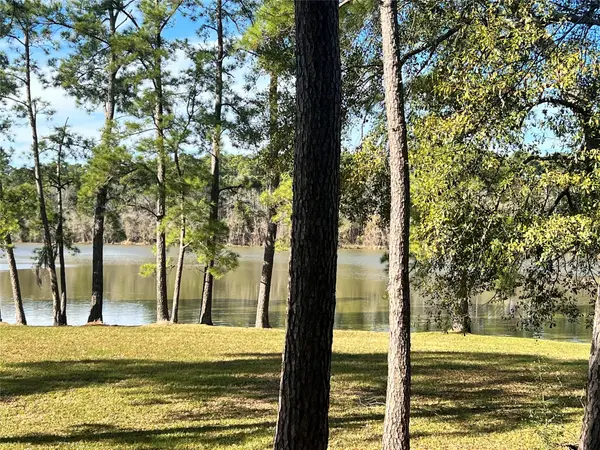 0 White Blossom Lane, Houston, TX 77338