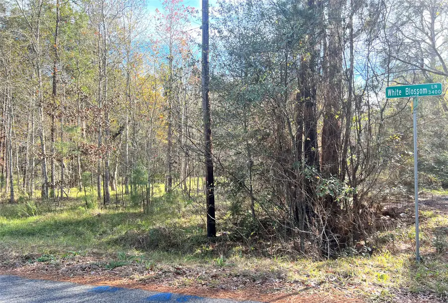 0 White Blossom Lane, Houston, TX 77338 - Image #2