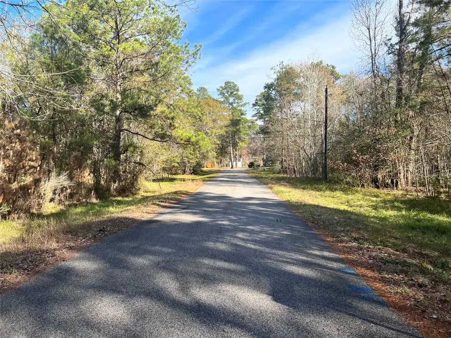 0 White Blossom Lane, Houston, TX 77338 - Image #3
