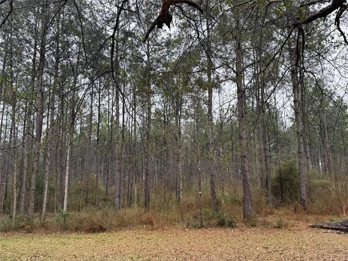 467 County Road 3035, Newton, TX 75966 - Image #1