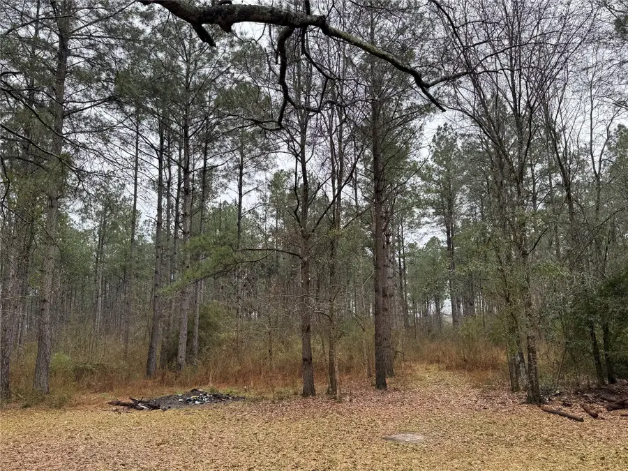 467 County Road 3035, Newton, TX 75966 - Image #2