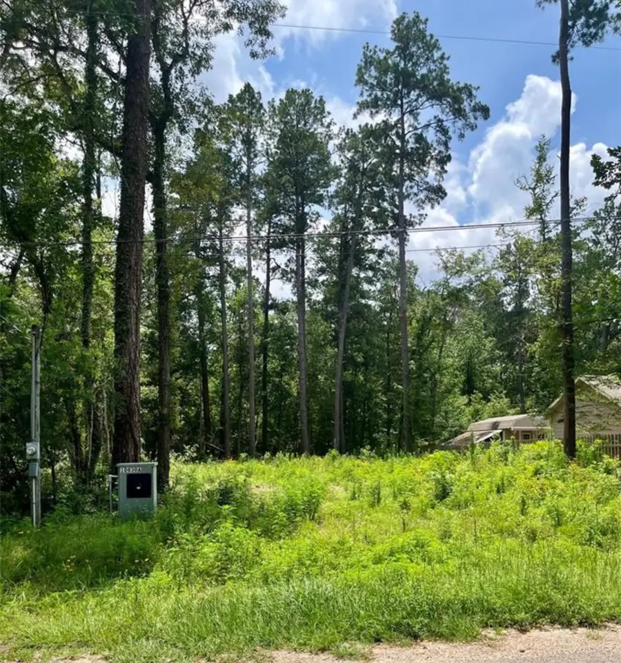 10820 Royal York Drive, Conroe, TX 77303 - Image #2