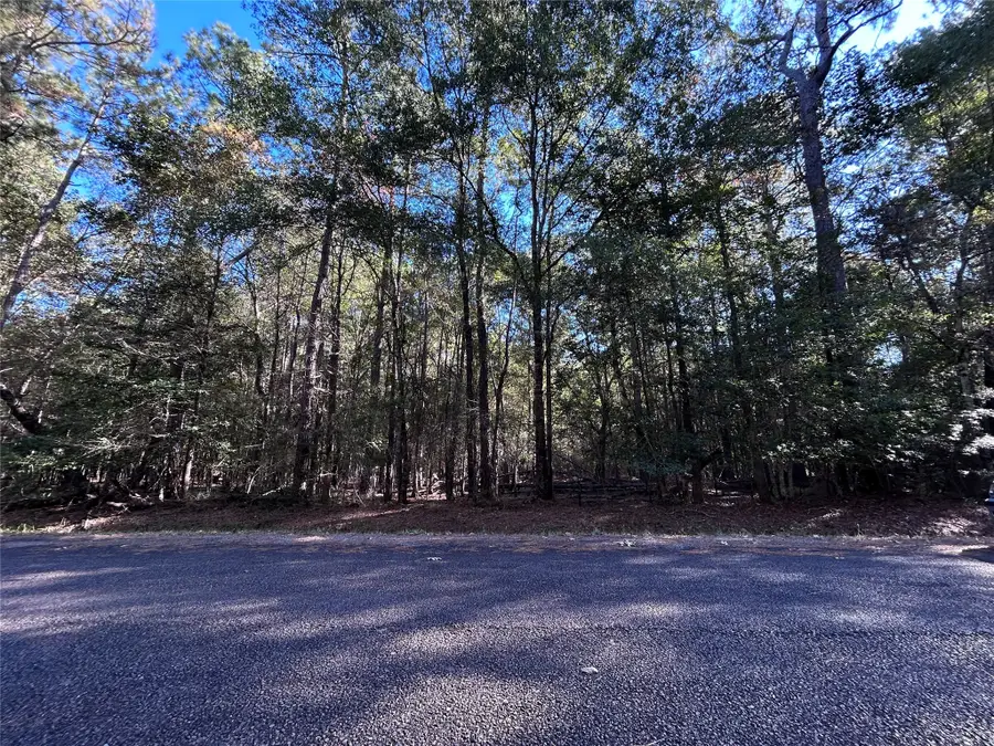 lot 16 Hackberry Drive, Village Mills, TX 77663 - Image #3