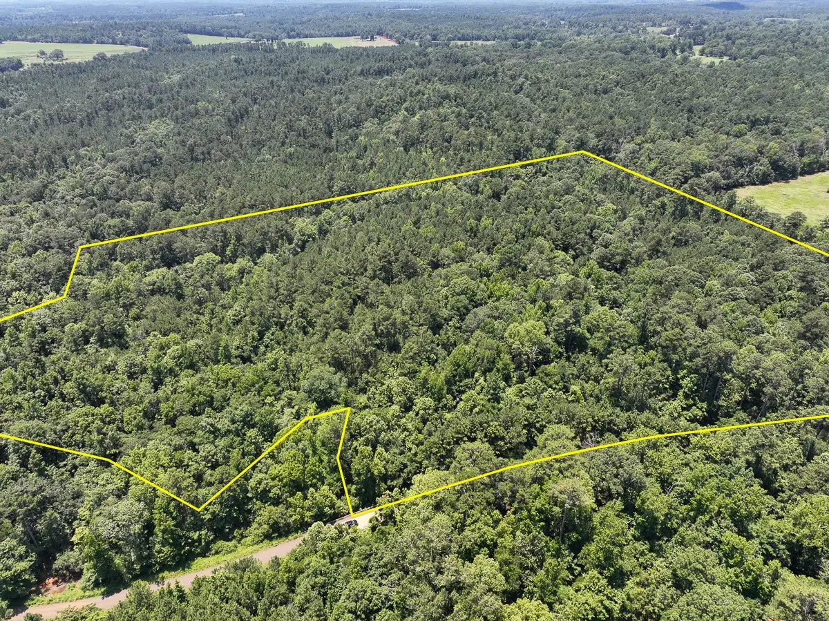 2 Lick Skillet Road, Milam, TX 75959 - #1