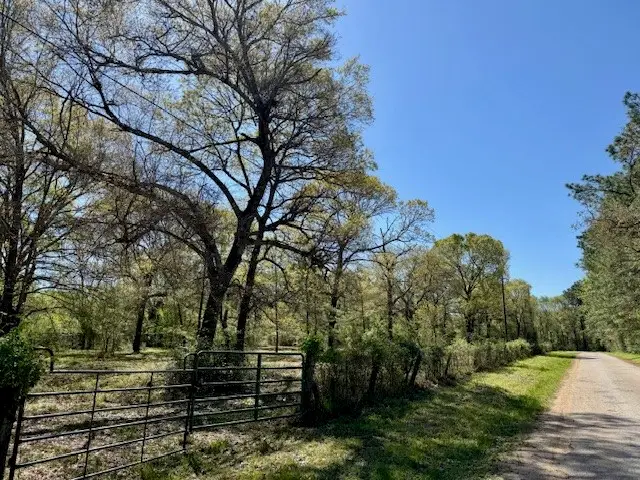 TBD Cr 351, Plantersville, TX 77363 - Image #2