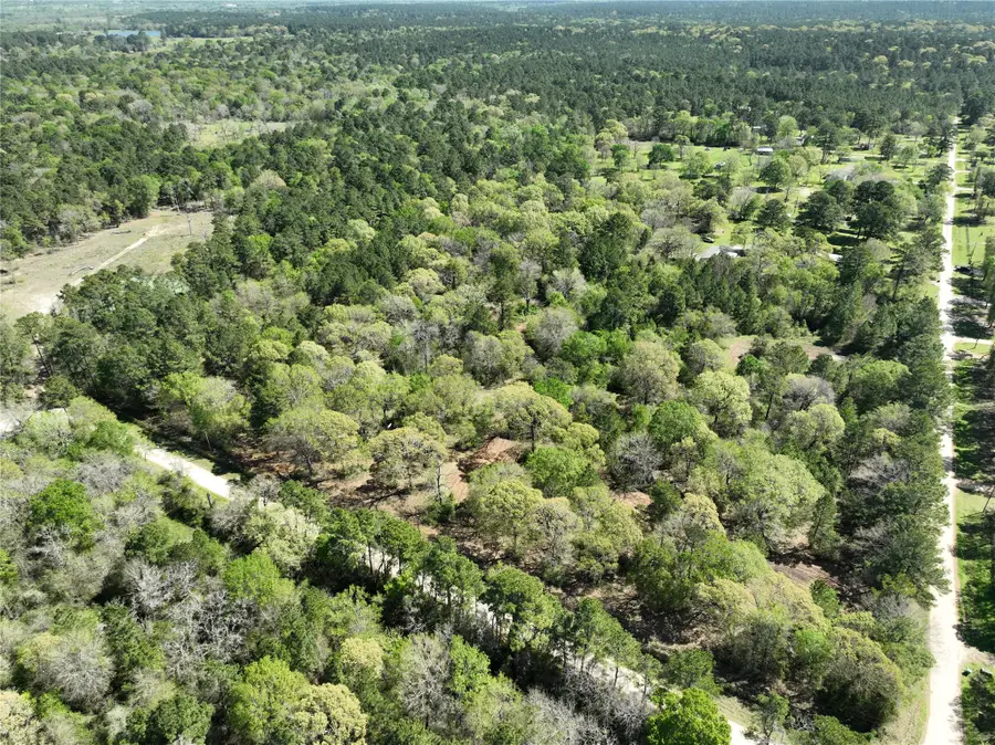 TBD Cr 351, Plantersville, TX 77363 - Image #3