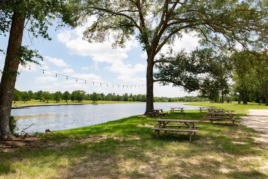 10699 Ruger Road, Willis, TX 77378 - Image #2