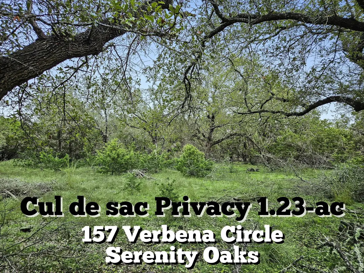 157 Verbena Circle, Spring Branch, TX 78070 - #1