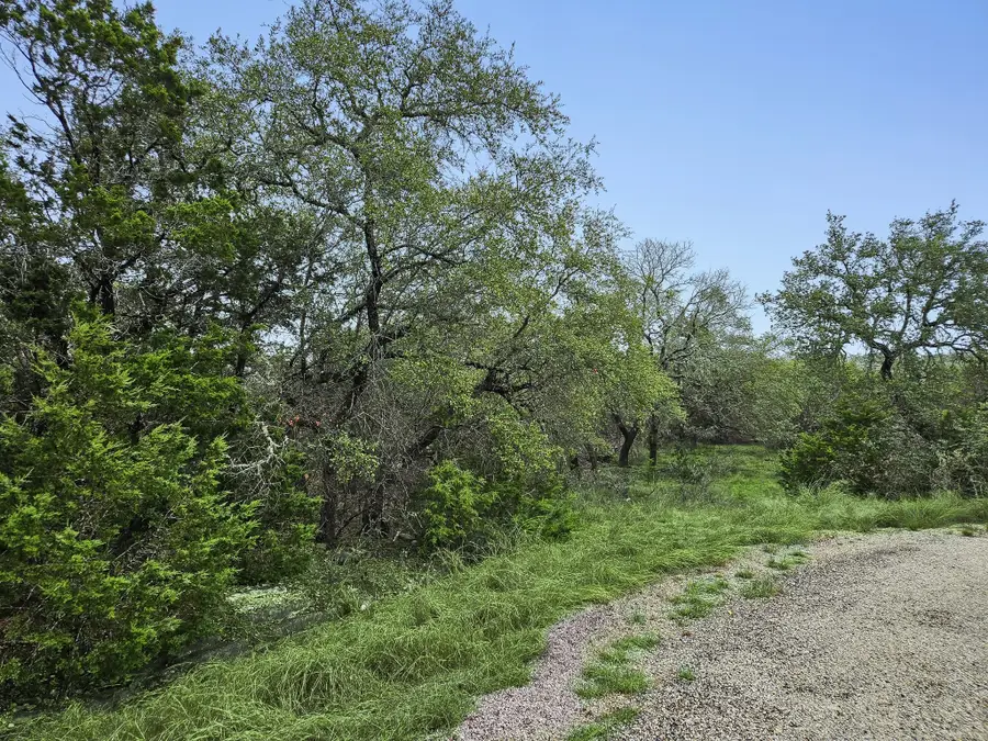 157 Verbena Circle, Spring Branch, TX 78070 - #2