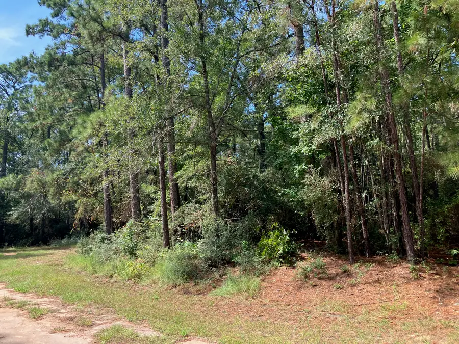 TBD Mule Deer Trail, Onalaska, TX 77360 - Image #3