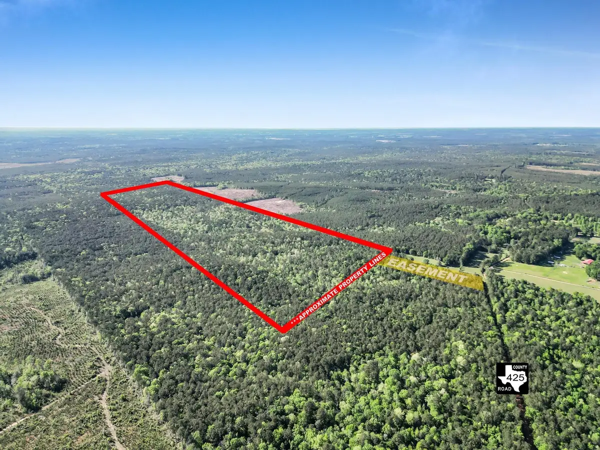0000 County Road 425, Kirbyville, TX 75956 - #1
